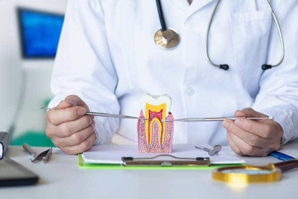 Best Emergency Treatment for Dental Infections or Abscesses in Nitro, WV